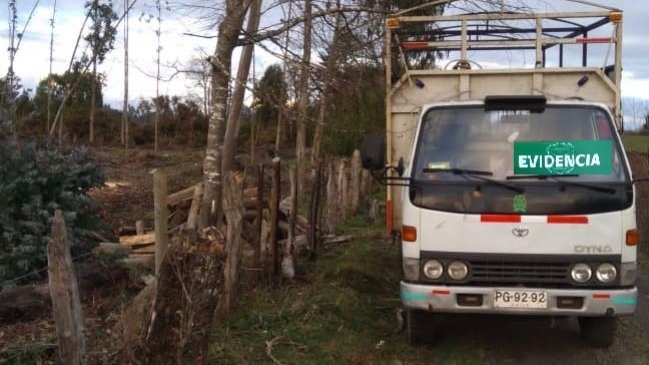Dos detenidos por robo de madera en Vilcún