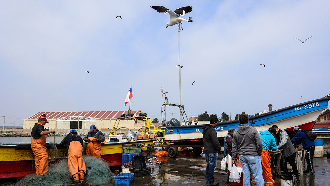 Intendente: Concentración de gases en Quintero y Puchuncaví es 