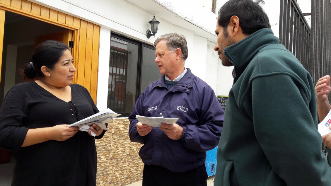 Iquique: Inician trabajo de vigilancia tras aparición de ejemplar de la mosca de la fruta