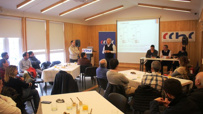 Punta Arenas: Proyecto busca terminar con accidentes en el “cruce de la muerte”