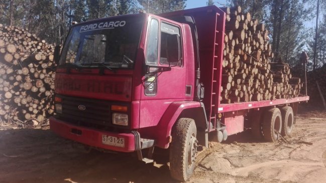 Maule: Carabineros detiene a sujeto por robo de madera