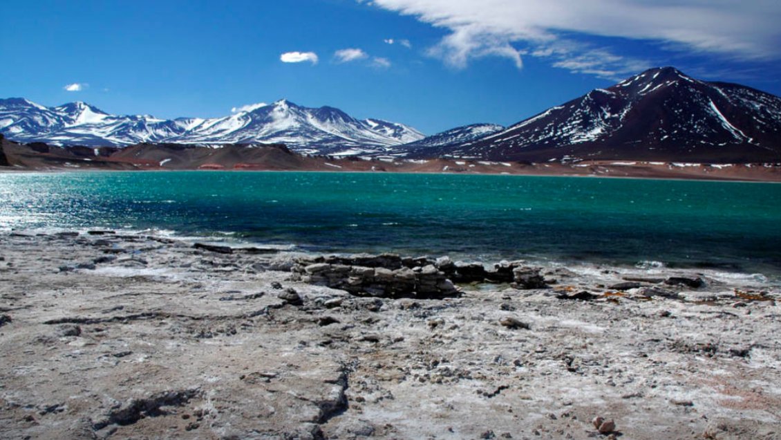 Buscan desarrollar turísticamente laguna poco conocida de Atacama