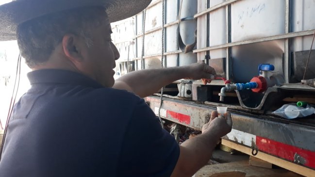 Chicheros anticipan celebración de las Fiestas Patrias en Iquique