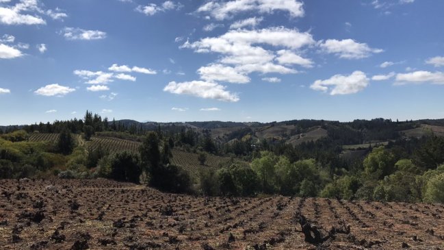 Gobierno confirma a nuevos gobernadores provinciales de Ñuble