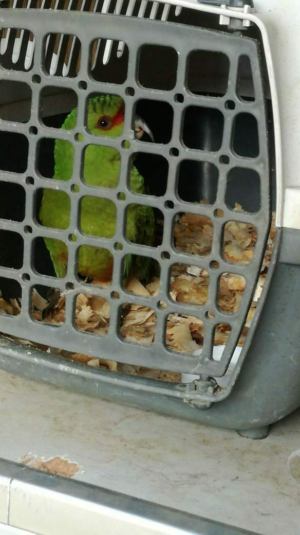 Imagen foto_00000001