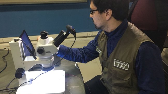 Imagen foto_00000003