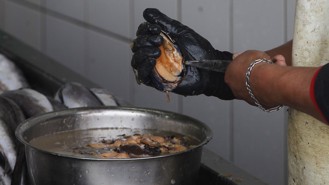 Atacama: Fiscalización a la venta de productos del mar dejó seis sumarios sanitarios