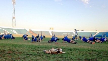 "Tesapara" es la fiel compañera del club 2 de Mayo en Paraguay