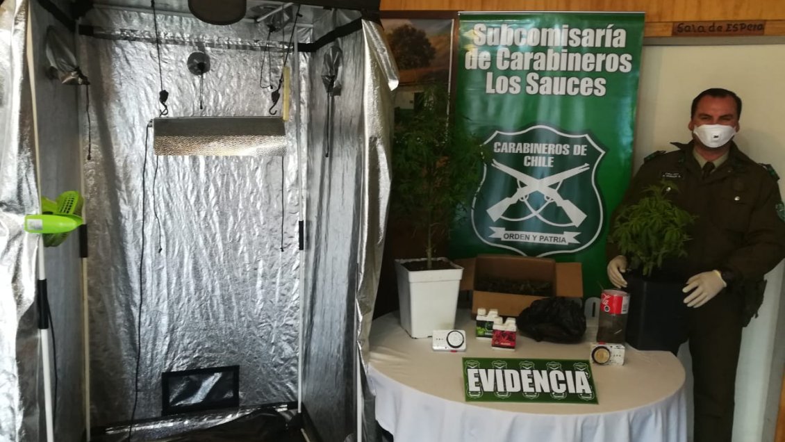 Llamado anónimo delató a jovenes narcotraficantes