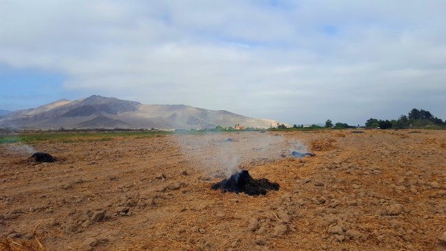 Constituyen mesa de prevención contra incendios forestales en Copiapó