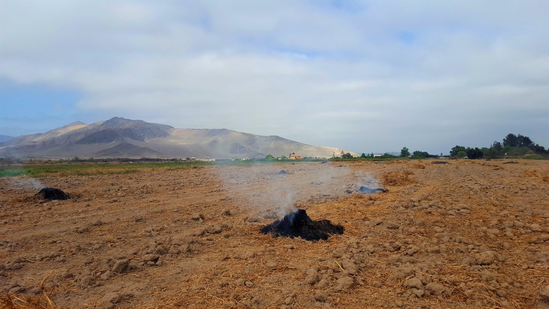 Constituyen mesa de prevención contra incendios forestales en Copiapó
