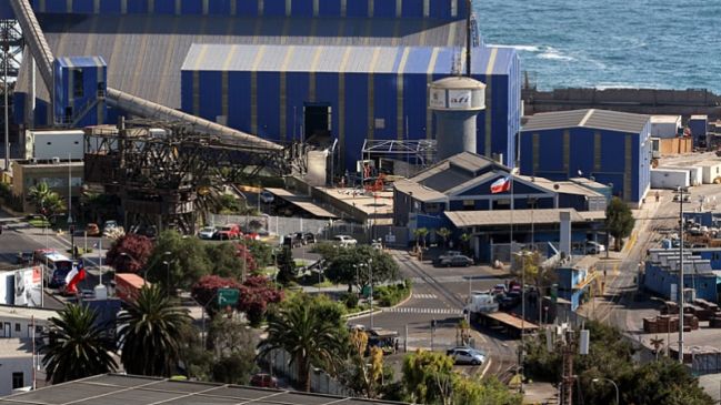 Antofagasta Terminal Internacional inició limpieza en sectores aledaños al puerto