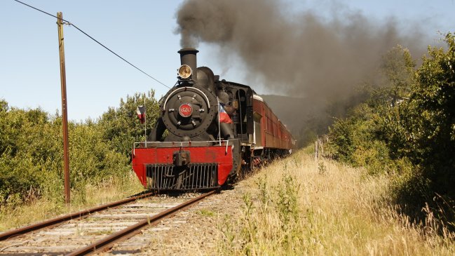 Tren turístico 
