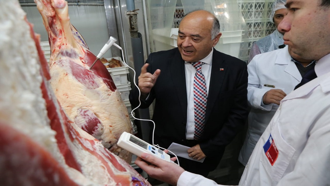 Tres toneladas de carne han sido decomisadas previo a Fiestas Patrias en el Biobío