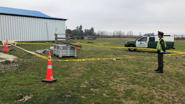 Investigan hallazgo de un feto al interior de un fundo en Curicó