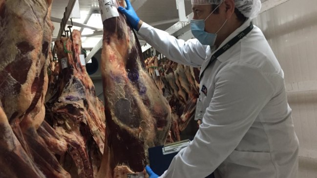 Tarapacá: Más de 150 kilos de carne han sido decomisados a días del 