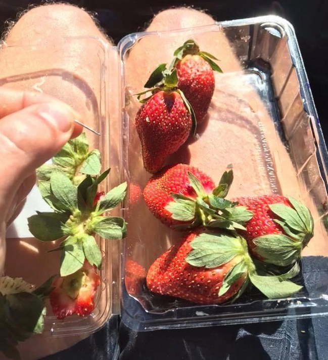 Imagen foto_00000016