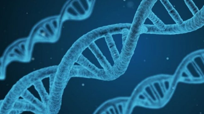 Ingeniero le ganó juicio a empresa que le hizo creer que era padre de un niño