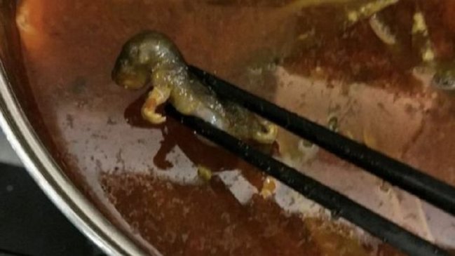 Embarazada encontró una rata muerta en su sopa y restaurante perdió miles de millones