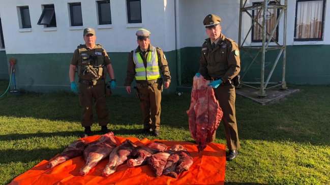Los Ríos: Carabineros decomisó carne y productos de contrabando