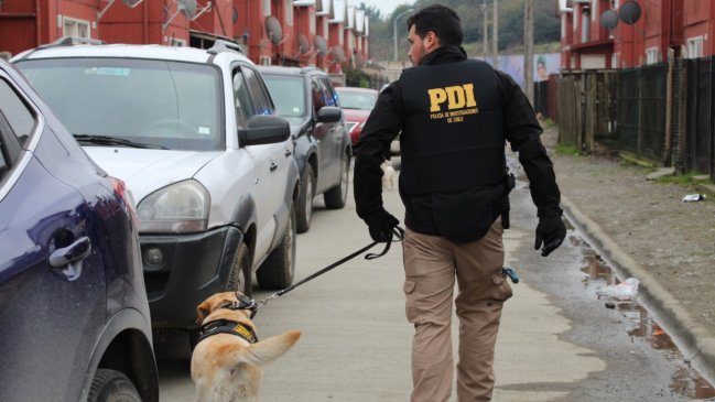 Puerto Montt: Millonario decomiso de drogas y seis detenidos en operación 