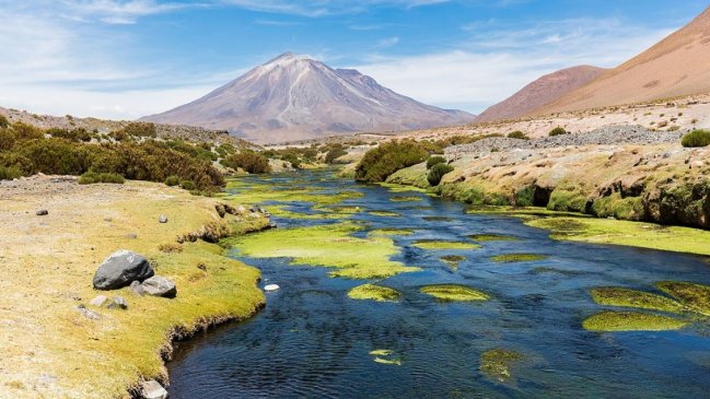 Chilenos superaron raspando una prueba de historia y geografía