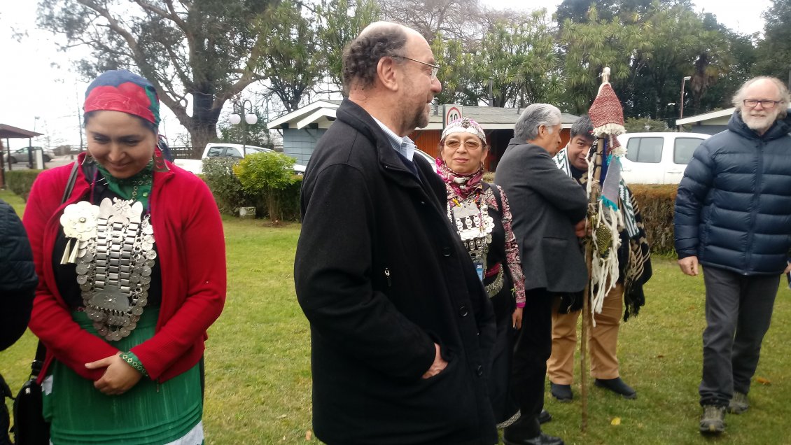 Gobierno se abre a representación parlamentaria para pueblos originarios