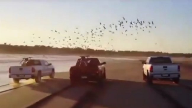 Empresa de automóviles declaró ante Fiscalía Marítima por realización de video en Ritoque