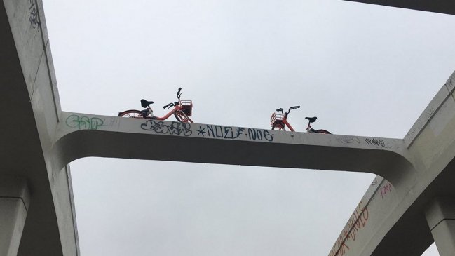 Dos bicicletas Mobike fueron estacionadas en un insólito lugar