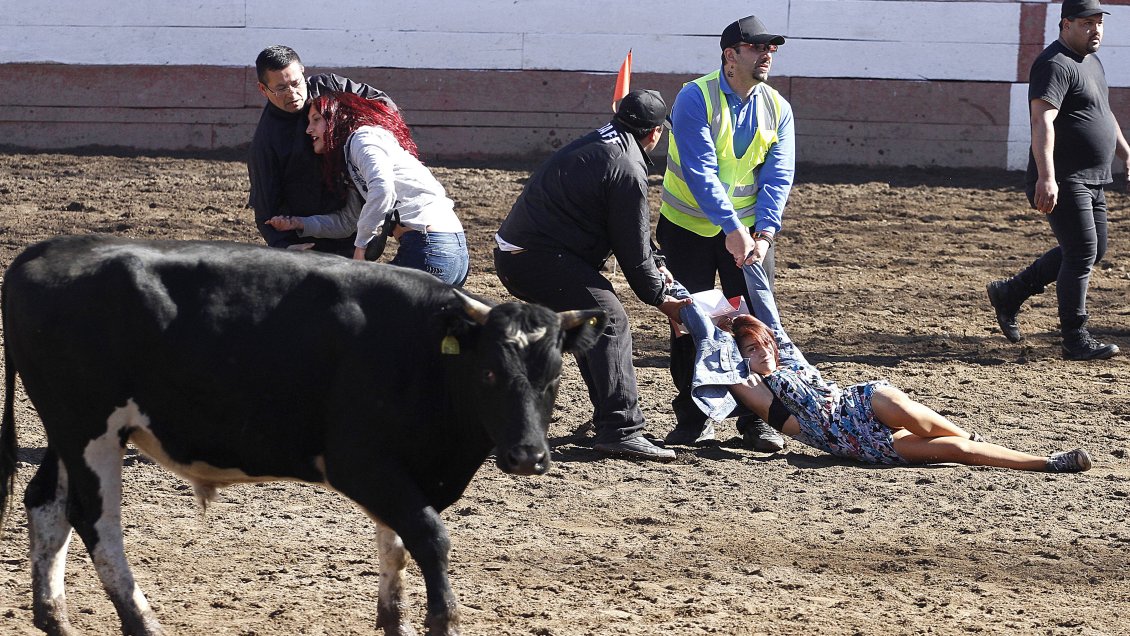 Protesta contra el rodeo dejó 22 detenidos en el parque Padre Alberto Hurtado