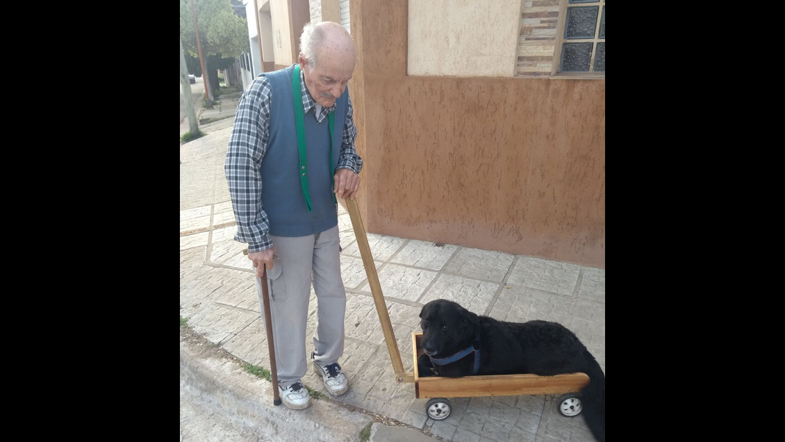 Argentina: ConstruyÃ³ un carrito para su perro que no puede caminar