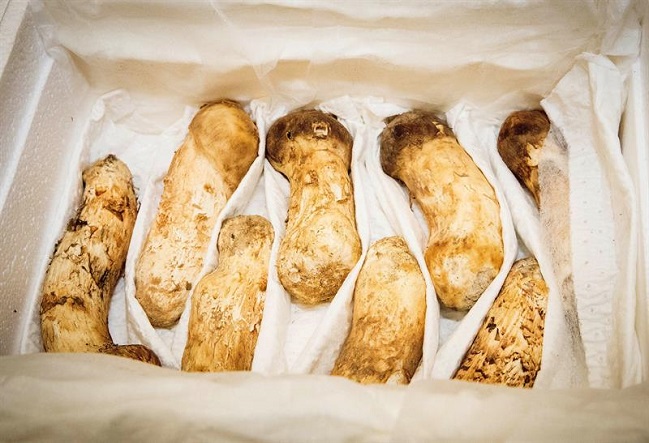 Imagen foto_00000002