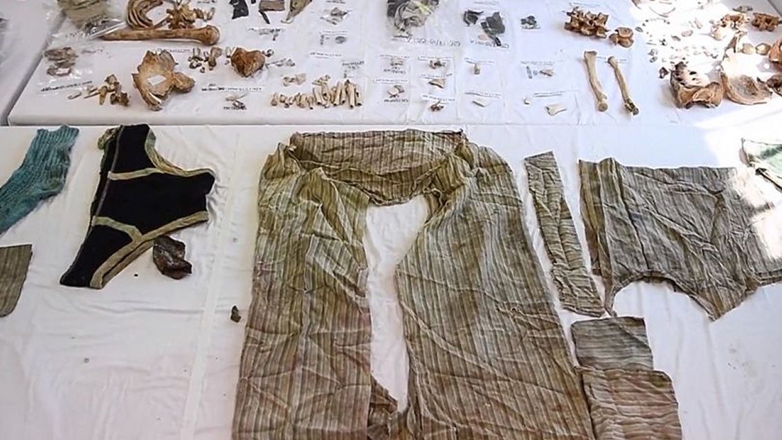 Cadáver de hombre asesinado hace 44 años fue descubierto por higuera que creció de su estómago