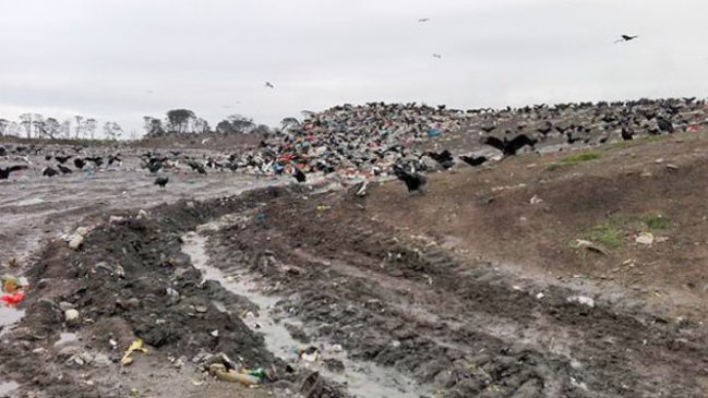 SMA detectó posible filtración de líquidos percolados desde el vertedero de Castro