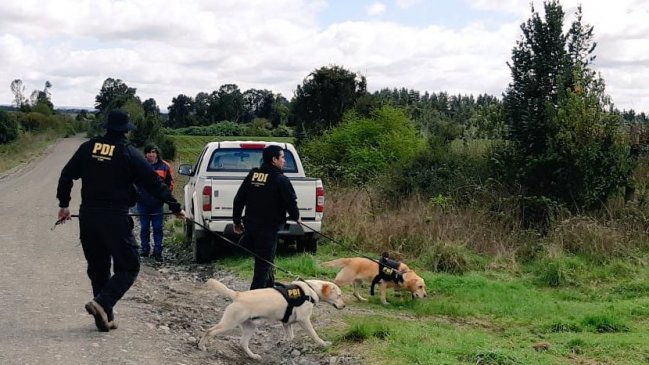 Detectives buscan pistas para encontrar a mujer desaparecida desde agosto en Los Muermos