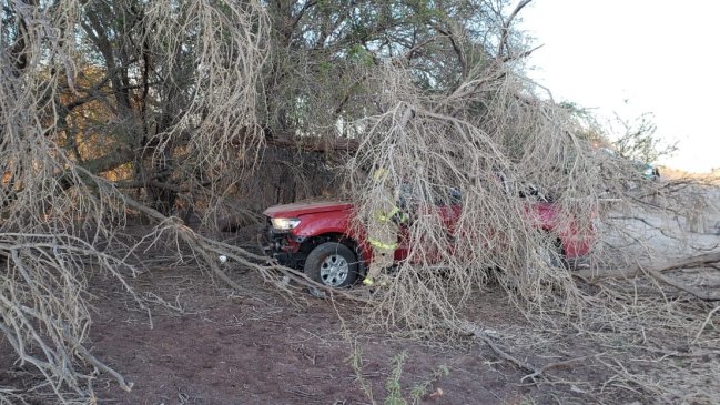 Dos personas resultaron lesionadas al chocar contra un tamarugo en ruta de Tarapacá