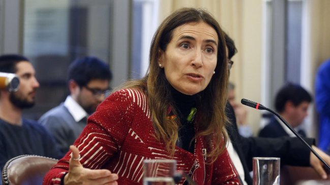 Ministra Schmidt alega que la critican 