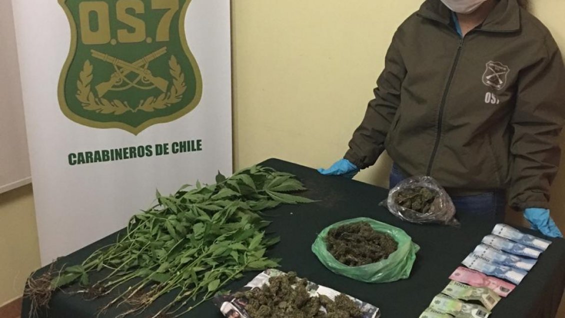 Detuvieron a un hombre y su suegro acusados de microtráfico de marihuana en Ñuble
