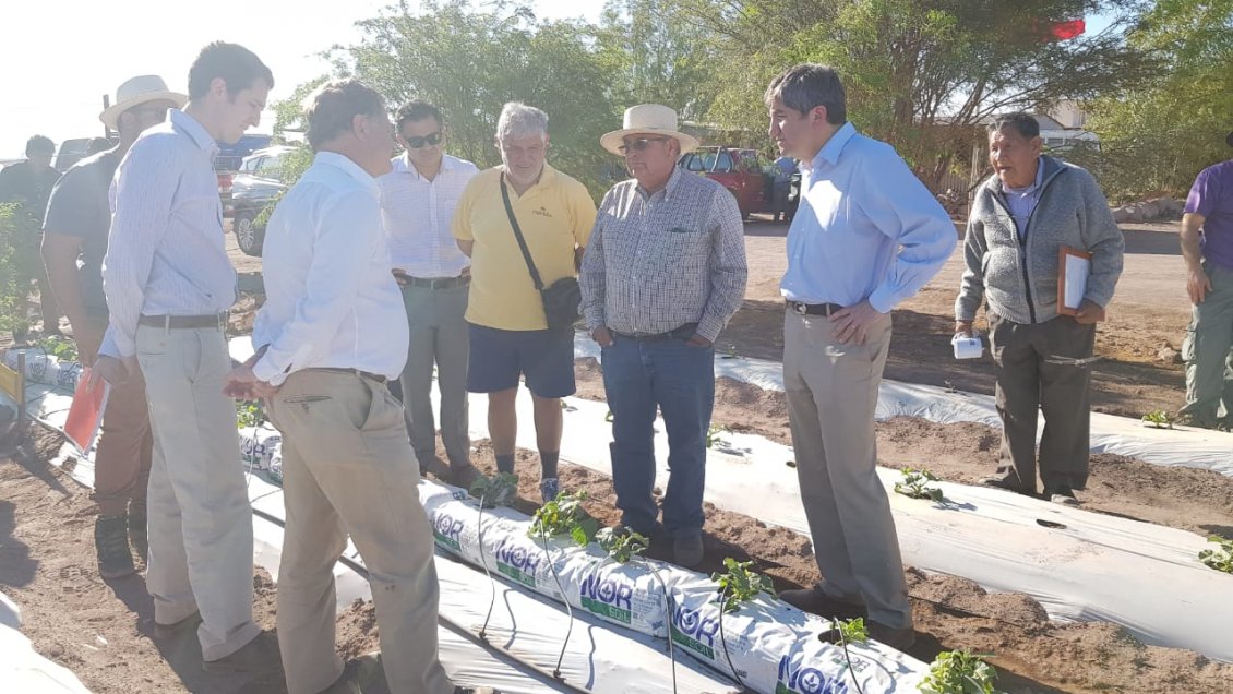 Productores de Tarapacá reciben sello para destacar el trabajo artesanal