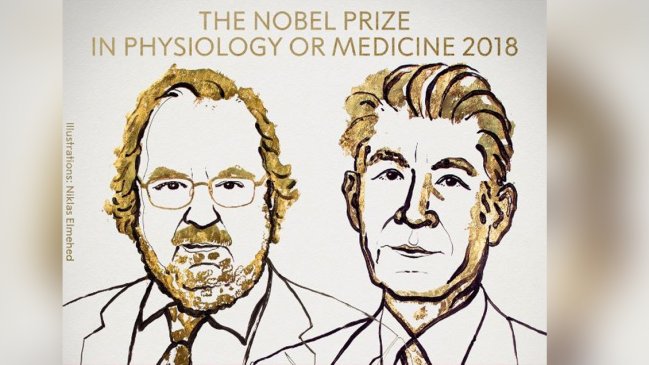 Premio Nobel de Medicina 2018 para creadores de la primera inmunoterapia contra el cáncer