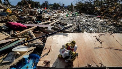   Sigue la búsqueda de víctimas tras terremoto y tsunami en Indonesia 