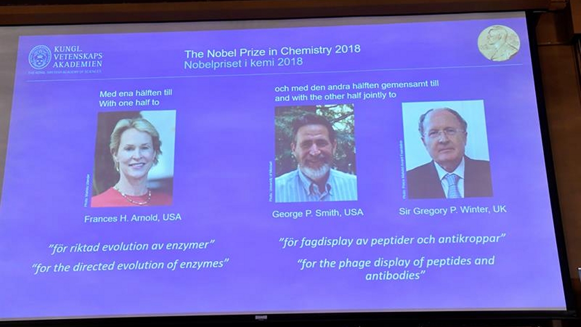 Nobel Química para Arnold, Smith y Winter por avances en desarrollo proteínas