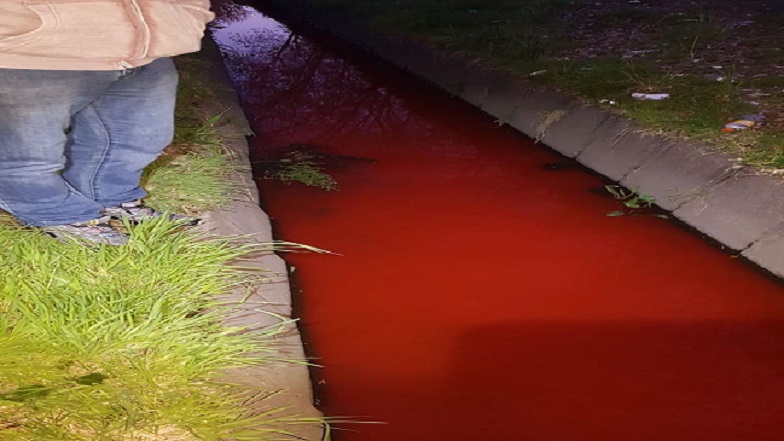 Imagen foto_00000002