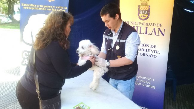 Chillán: Con servicios veterinarios gratuitos celebrarán el Día de los Animales
