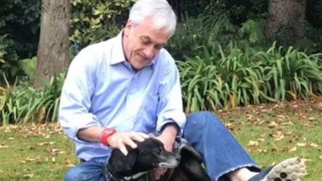 Presidente Piñera sufrió la pérdida de su perro Cholito