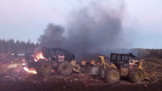 Cuatro máquinas forestales quedaron destruidas tras ataque incendiario en Carahue