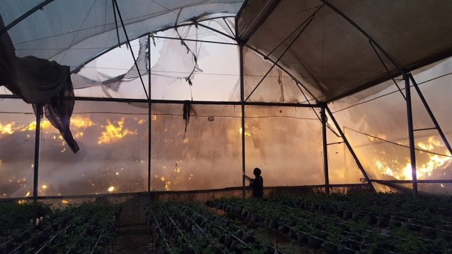 Lanzamiento de globos incendiarios provocó enorme incendio en Israel