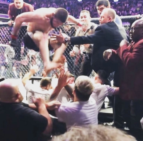 Imagen foto_00000015