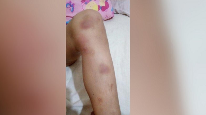 Imagen foto_00000032