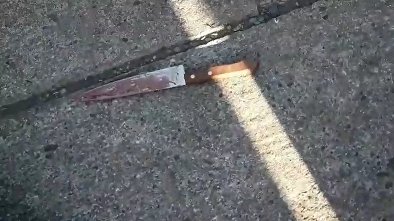 Imagen foto_00000002